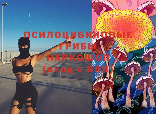 прущие крисы Коряжма