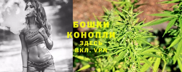 прущие крисы Коряжма