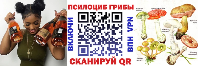 Купить закладки  Ивдель  Галлюциногенные грибы ЛСД 